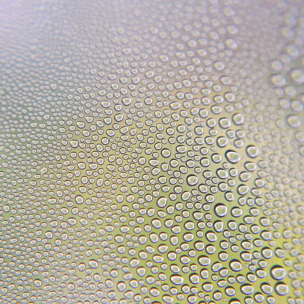 Druppels water op het glas — Stockfoto