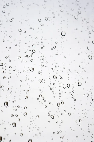 Droppar regn på fönstret — Stockfoto