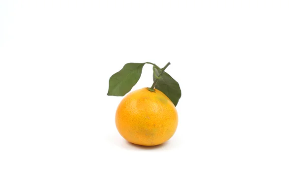 Mogen tangerine — Stockfoto