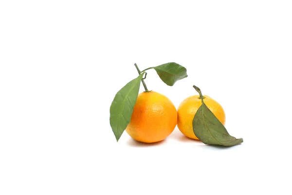 Zralé mandarinka přes bílý — Stock fotografie