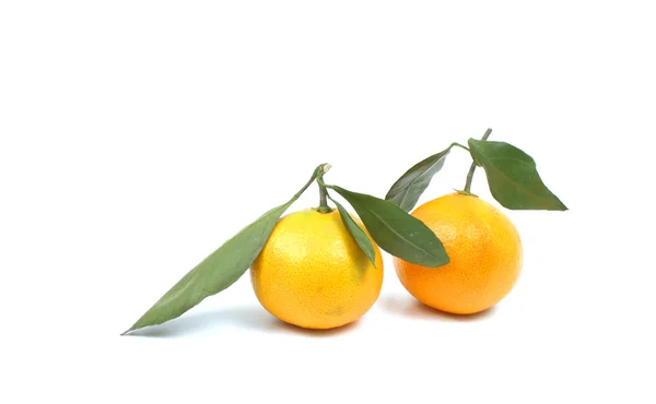 Ripe tangerine over white — Stock Photo, Image