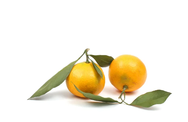 Ripe tangerine over white — Stock Photo, Image