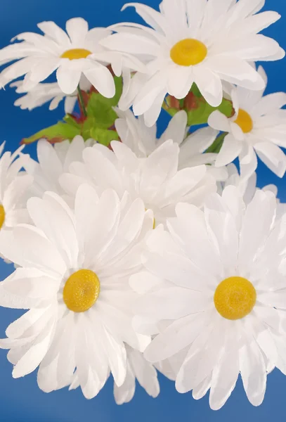 블루에 꽃병에 인공적인 camomiles — 스톡 사진