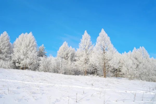 Krásná zimní krajina — Stock fotografie