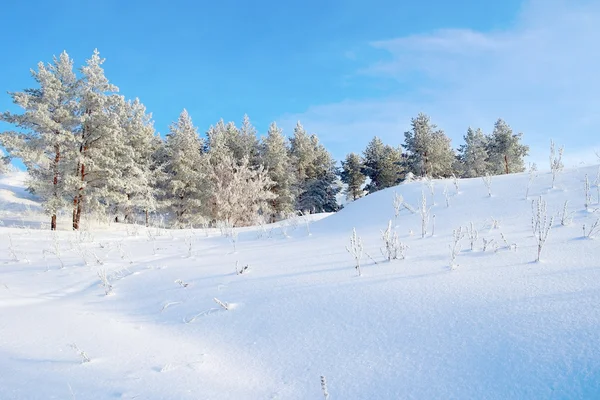 Paisagem inverno Fotos De Bancos De Imagens