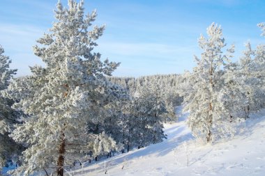 pines karla kaplı dağa