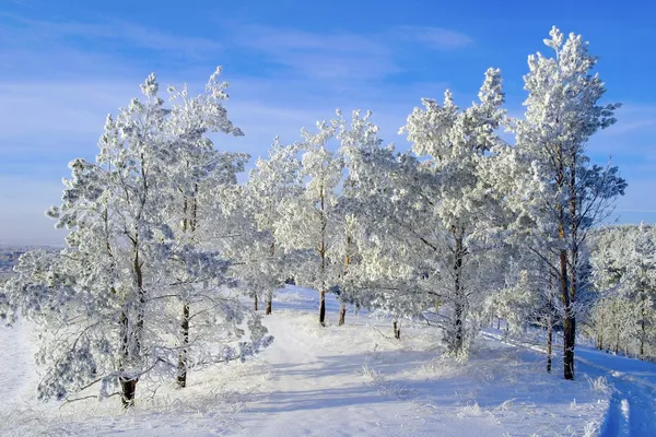 Paisagem de inverno à noite — Fotografia de Stock