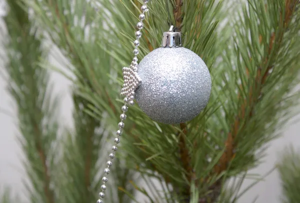 松の枝のクリスマスの装飾 — ストック写真