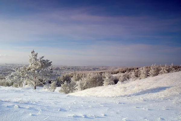 Abendliche Winterlandschaft — Stockfoto
