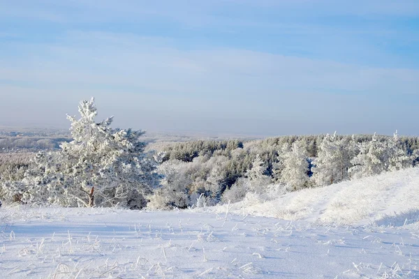 Paisagem inverno — Fotografia de Stock