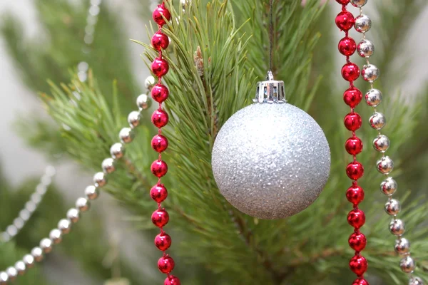 Christmas decorations on the twigs of pine — Stock Photo, Image