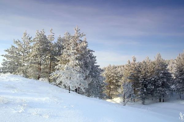 Bellissimo paesaggio invernale — Foto Stock