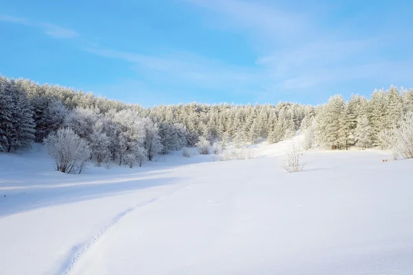 Zimní krajina se stromy — Stock fotografie