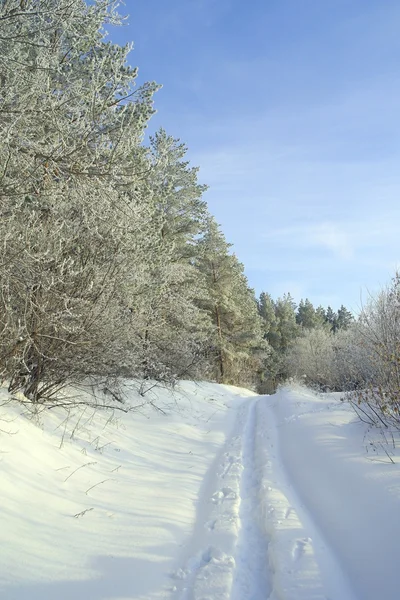 Красивый зимний пейзаж — стоковое фото