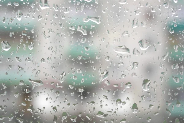 On a summer raining day — Stock Photo, Image