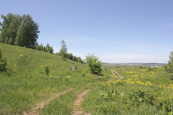 Zomer landelijk landschap — Stockfoto