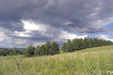 Güzel yaz manzarası