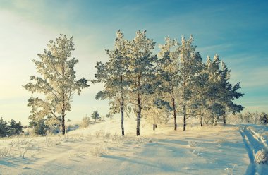 akşam kış manzarası