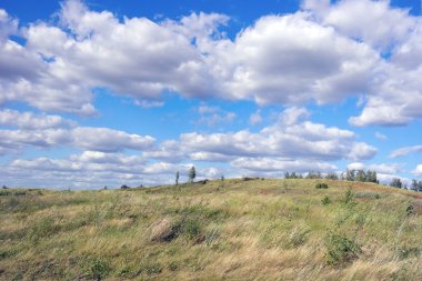 Güzel yaz manzarası