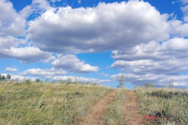 Güzel yaz manzarası