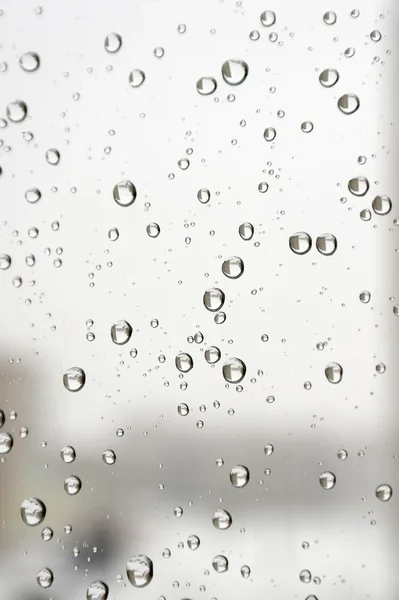 On a winter raining day — Stock Photo, Image