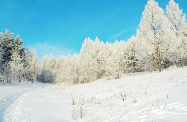 Krásná zimní krajina — Stock fotografie