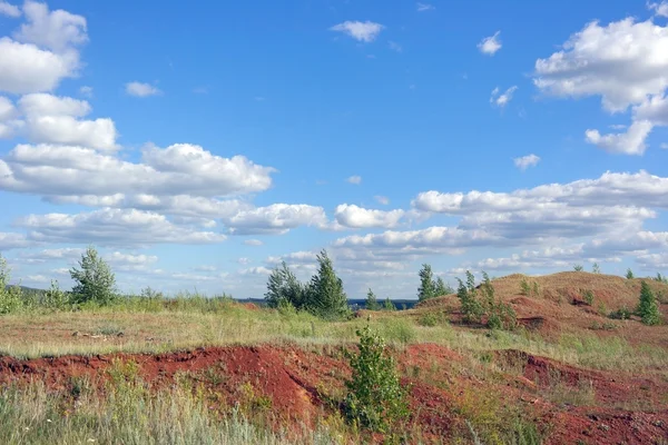 Prachtig zomers landschap — Stockfoto