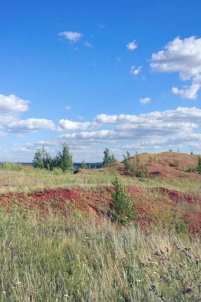 Prachtig zomers landschap — Stockfoto