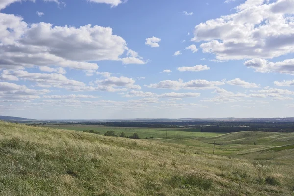 Beautiful summer landscape — Stock Photo, Image