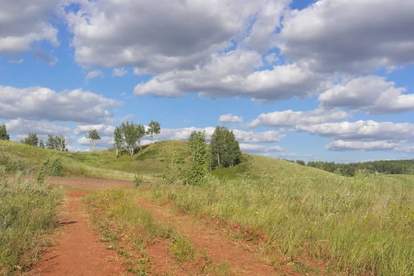 Prachtig zomers landschap — Stockfoto