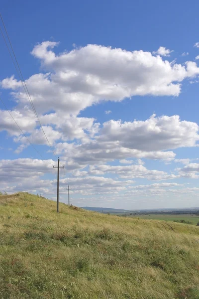 Prachtig zomers landschap — Stockfoto