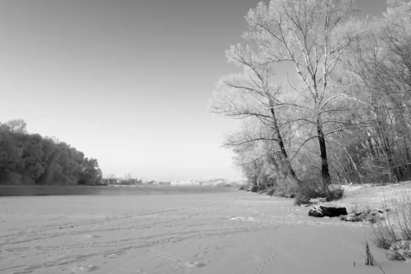 Zimowy Krajobraz Rzeką Drzewami Pokrywa Mrozowa — Zdjęcie stockowe