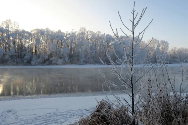 Vinterlandskap Med Flod Och Träd Frost Täcka — Stockfoto