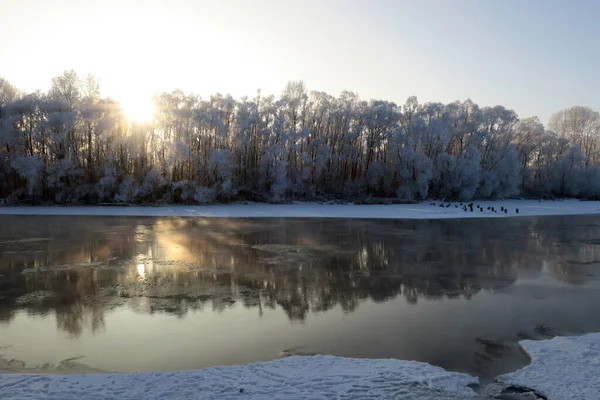 Vinterlandskap Med Flod Och Träd Frost Täcka — Stockfoto