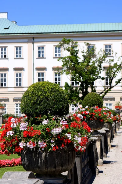 Mirabellpaleis en tuinen, Oostenrijk — Stockfoto