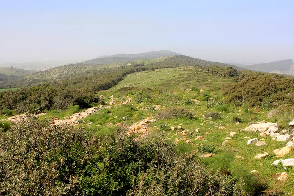Gilboa, Israel Stockbild