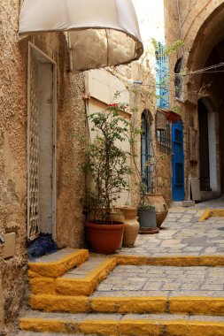 sokak Jaffa, İsrail