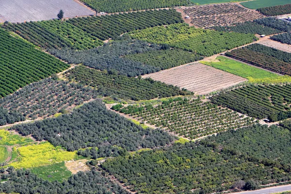 Погляд на Ізраїль Ліцензійні Стокові Зображення