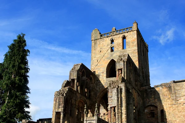 Jedburgh abbey, Schotland — Stockfoto