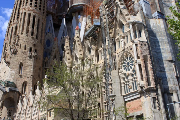 Sagrada Familia, Barcelona — Stock fotografie