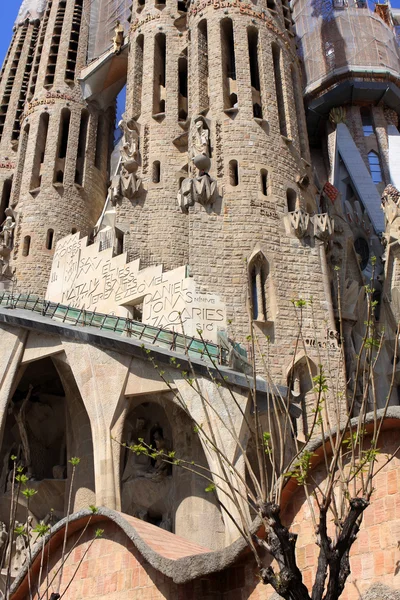 Sagrada Familia, Barcelona — Stock fotografie