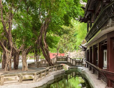 Bahçe gölet ve banyan ağacı