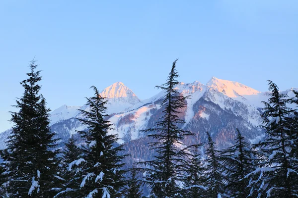 Vinter kväll — Stockfoto