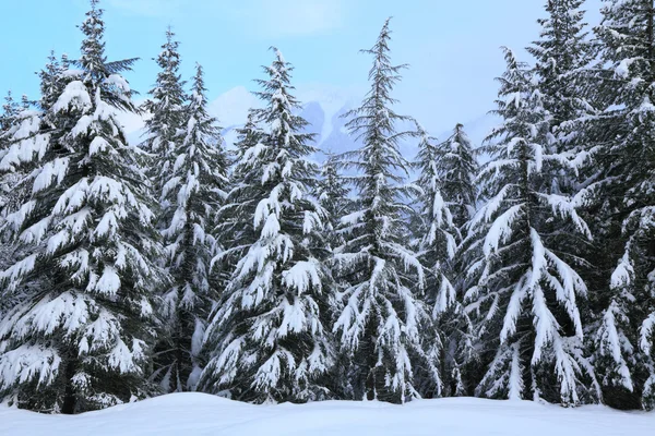 Paesaggio invernale — Foto Stock