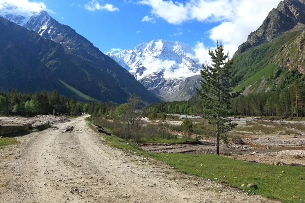 Vallée de montagne — Photo