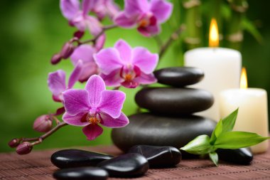 spa konsept