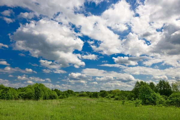 Sommar — Stockfoto