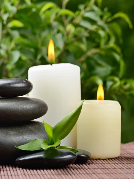 spa konsept