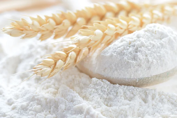 Flour with wheat ears — Stock Photo, Image