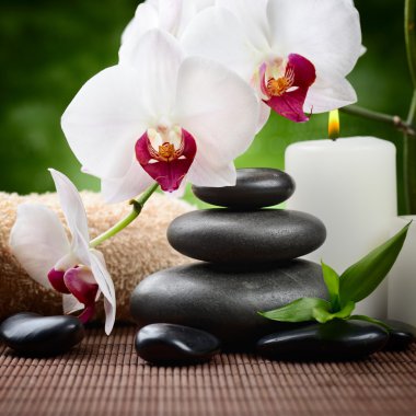 spa konsept